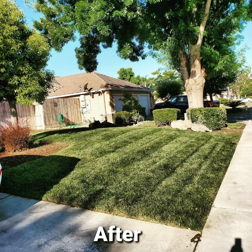 Reliable yard cleanup service for outdoor upgrades in Visalia, CA by ED'S Major League Mowing