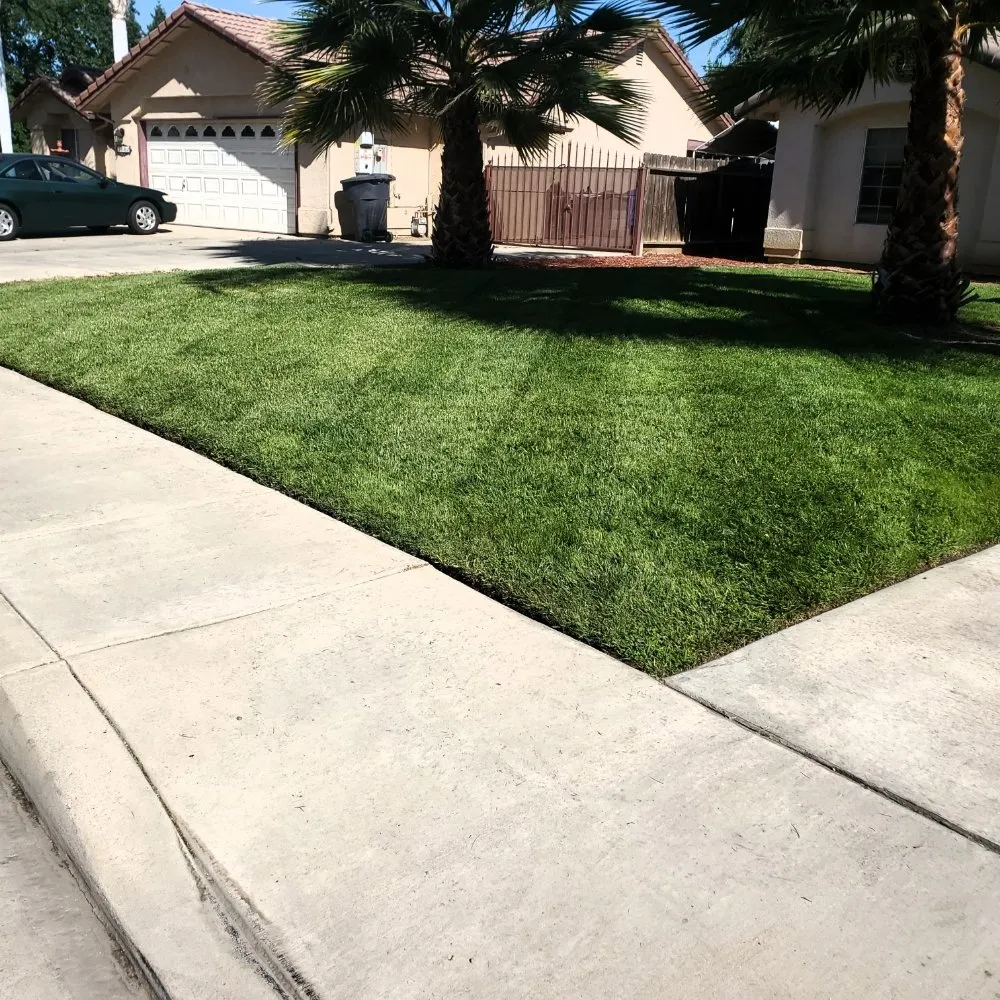 Top-rated lawn care service in Visalia, CA - ED'S Major League Mowing