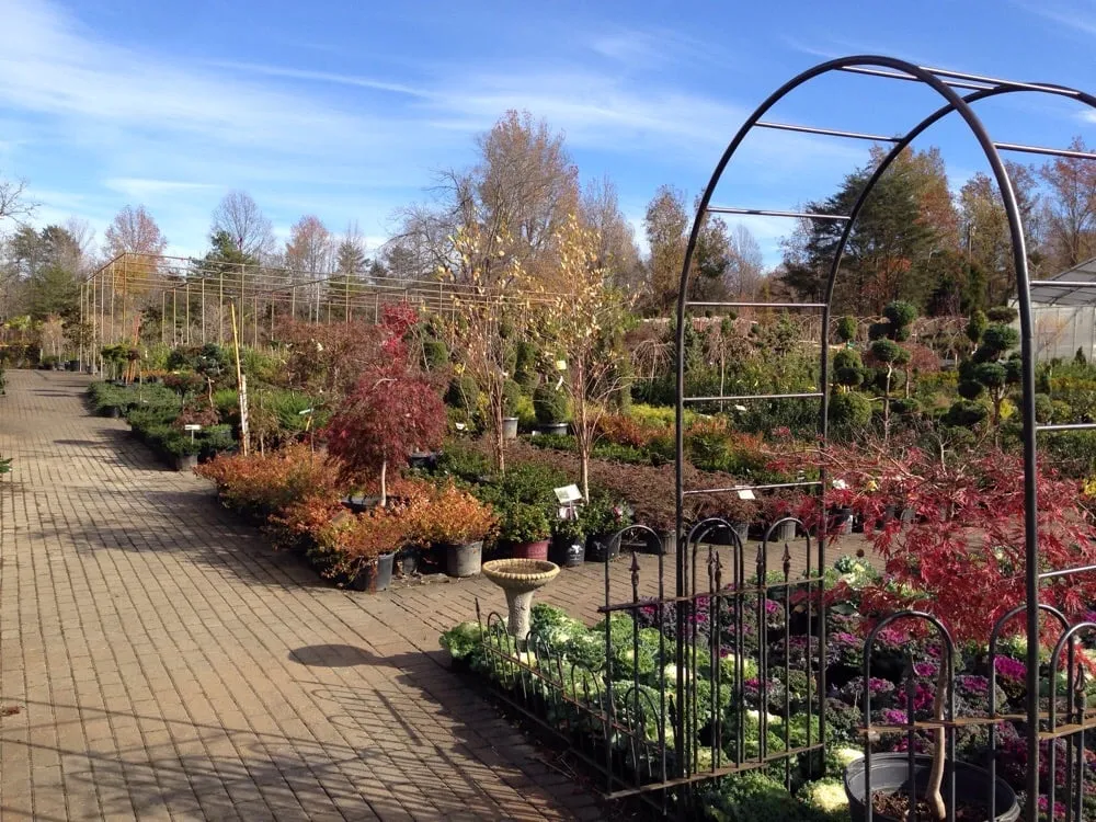 Top-rated landscaping services for homes in Brandywine, MD by Ed's Plant World