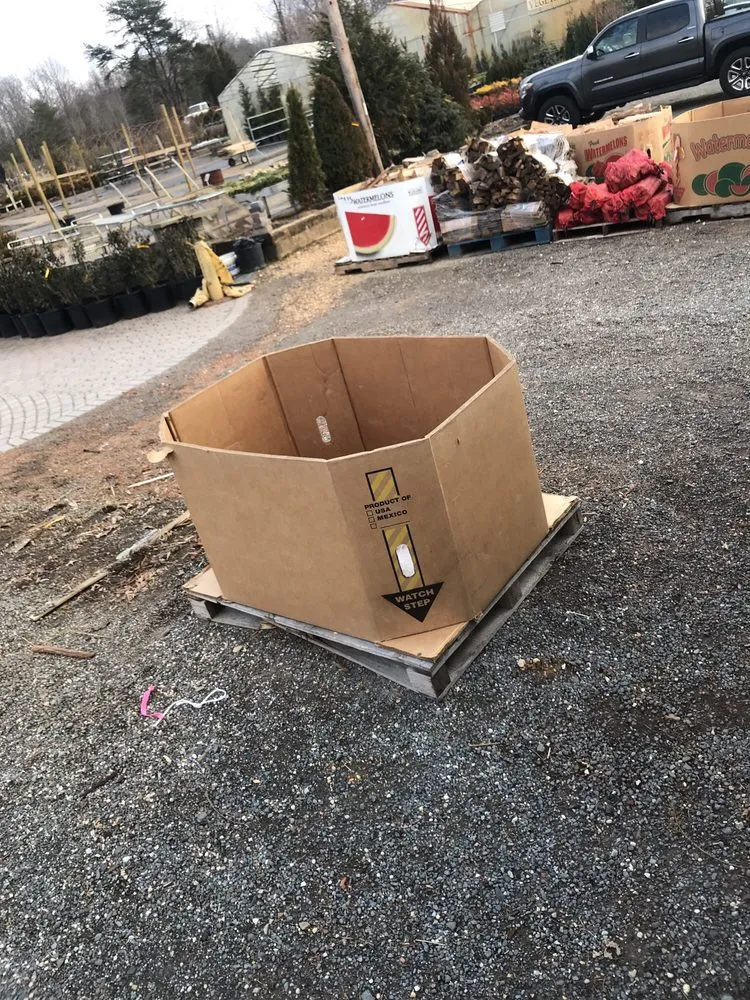 Professional yard cleanup service in Brandywine, MD - Ed's Plant World