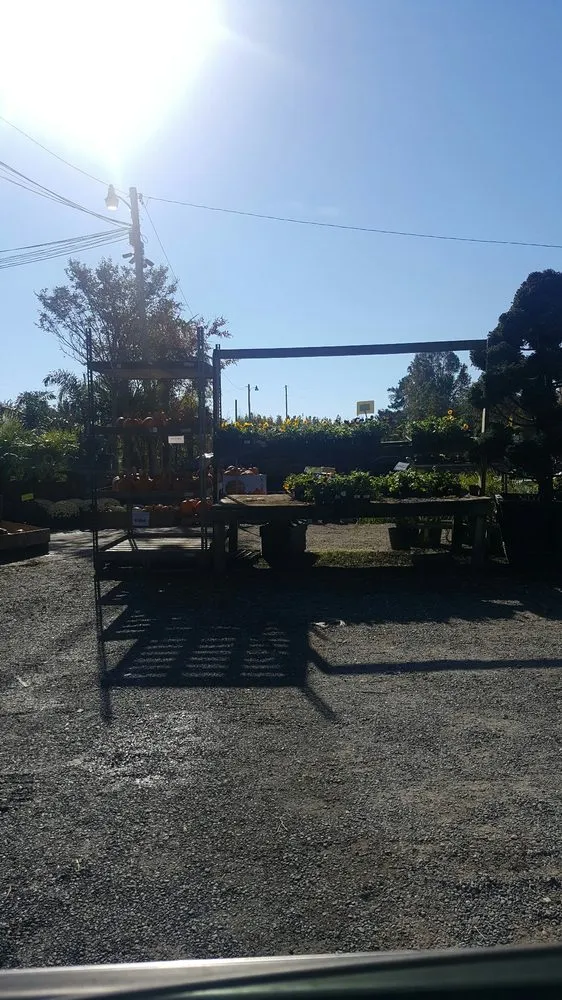 Professional yard maintenance in Brandywine, MD - Ed's Plant World