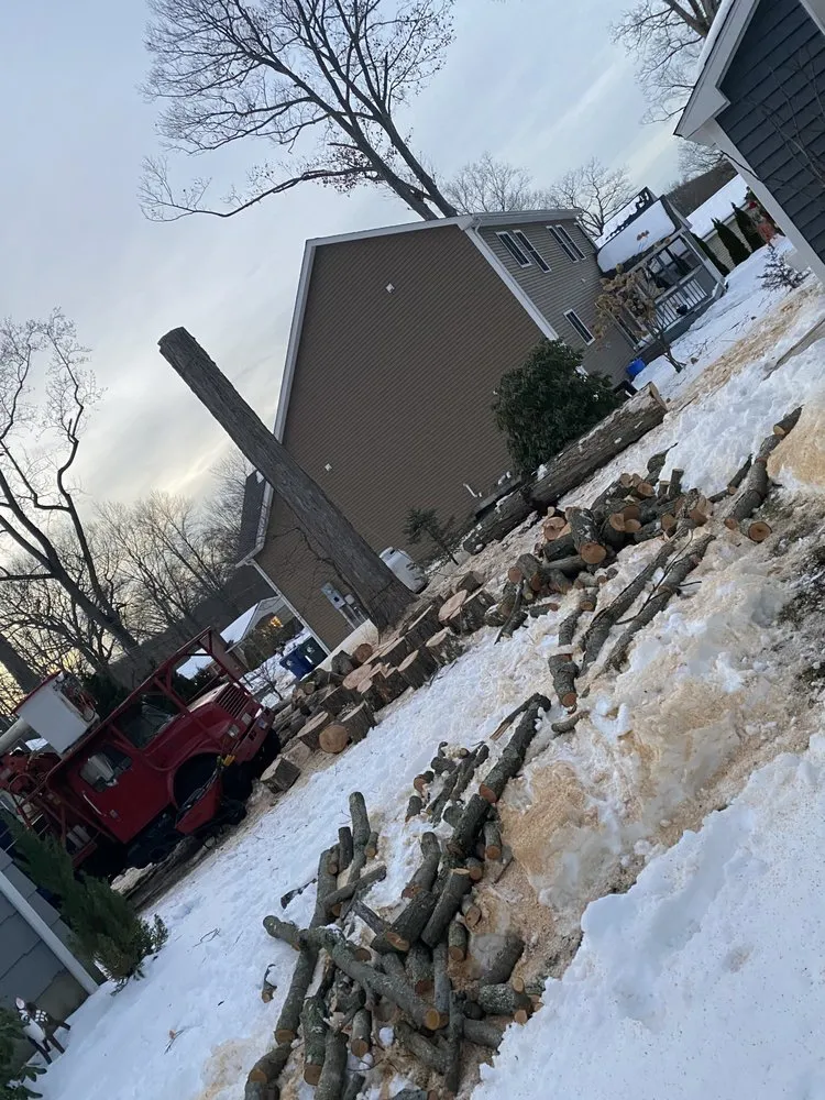 Local lawn care service for outdoor upgrades across Danbury, CT - Eds Tree & landscaping