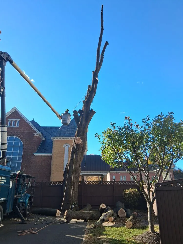 Custom outdoor landscaping in Danbury, CT - Eds Tree & landscaping