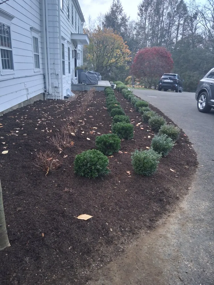 Trusted yard maintenance experts serving Danbury, CT - Eds Tree & landscaping