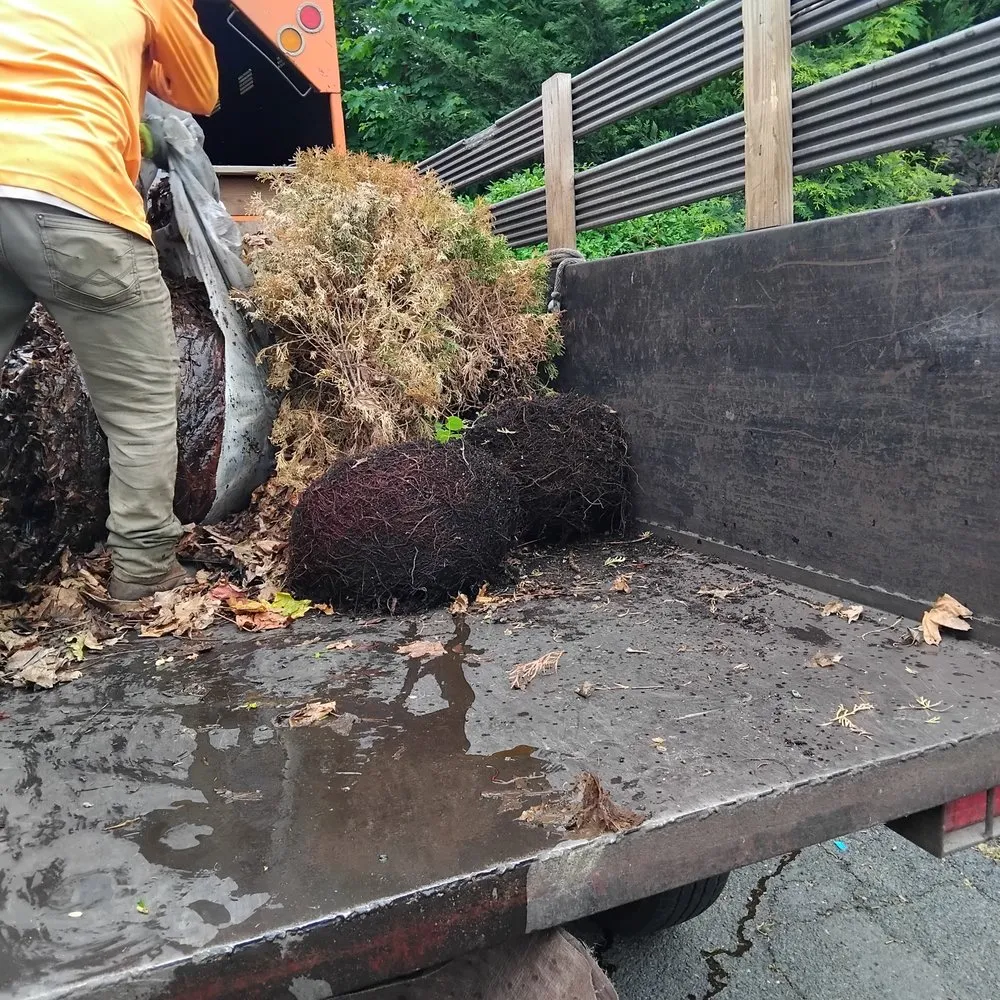 Custom yard maintenance experts serving Danbury, CT - Eds Tree & landscaping