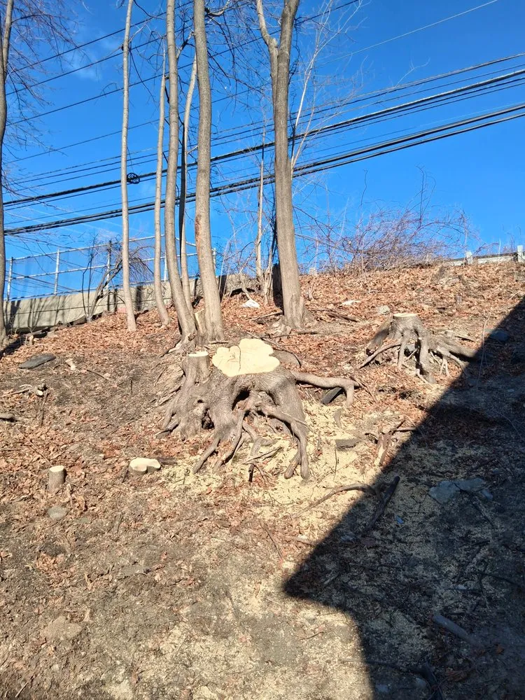 Custom residential landscaping in Danbury, CT by Eds Tree & landscaping