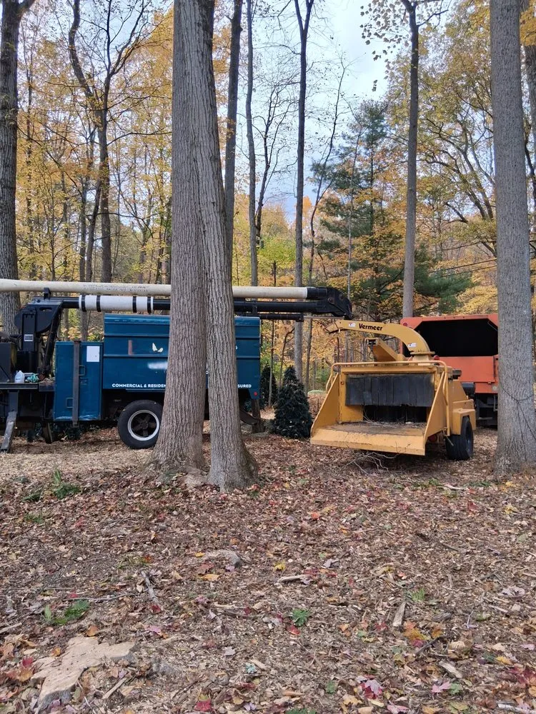 Local lawn care service in Danbury, CT - Eds Tree & landscaping