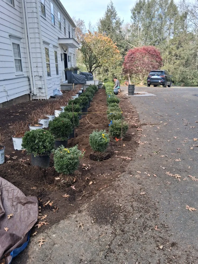Reliable residential landscaping experts serving Danbury, CT - Eds Tree & landscaping