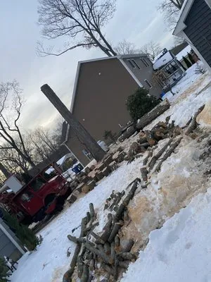 Eds Tree & landscaping