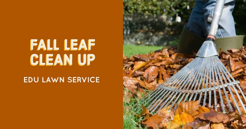 Affordable yard cleanup service experts serving North Kansas City, MO - EDU Lawn Service