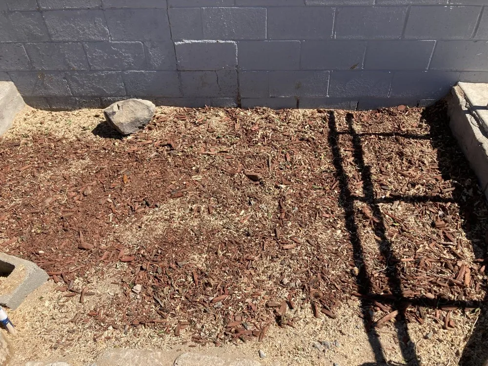 Custom garden landscaping for year-round maintenance across Yuma, AZ - Eduardo & Sons Tree Experts