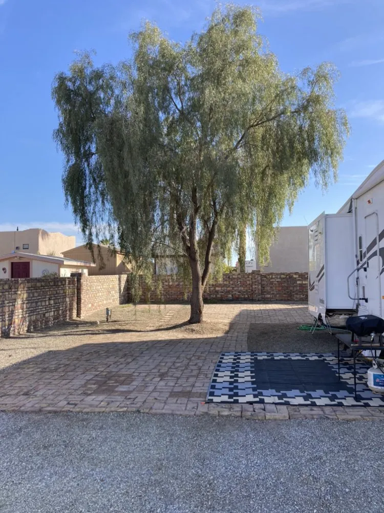 Custom lawn care service in Yuma, AZ by Eduardo & Sons Tree Experts