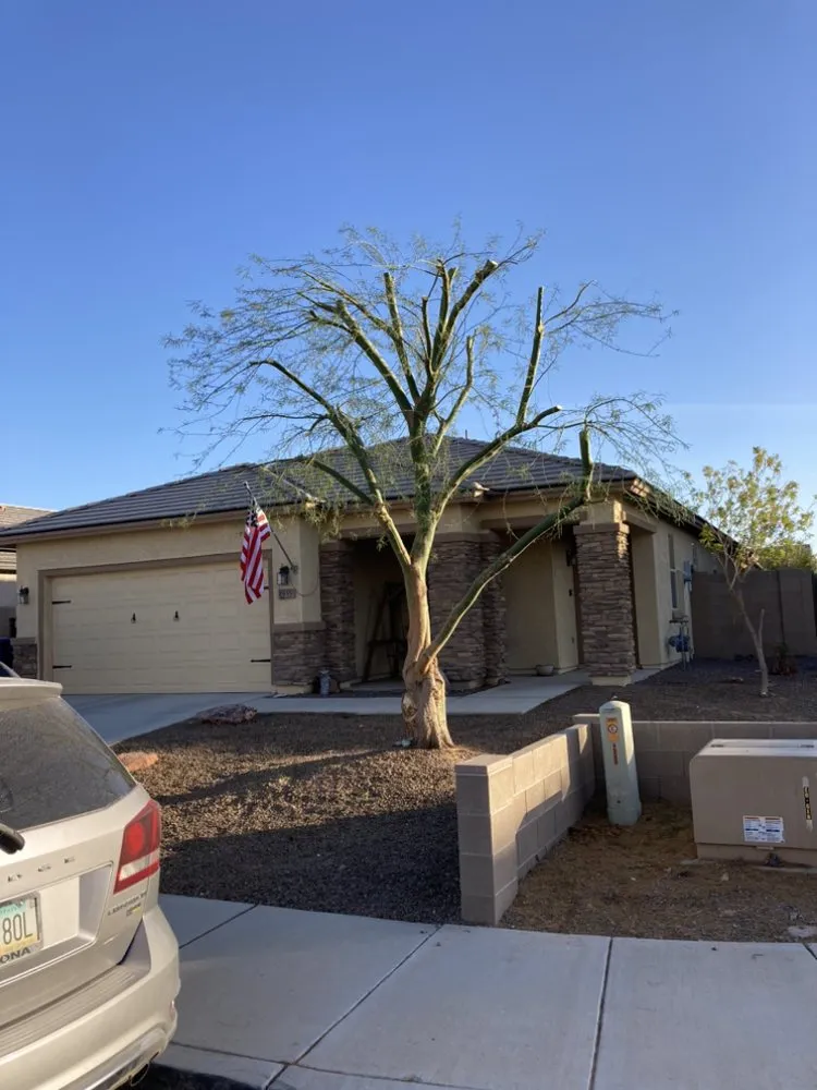 Affordable garden landscaping for homes across Yuma, AZ - Eduardo & Sons Tree Experts