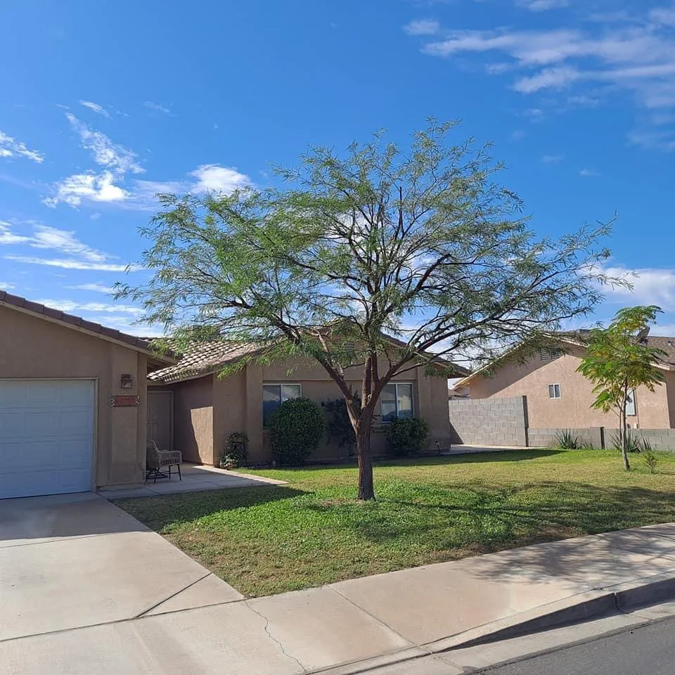 Professional landscape design for outdoor upgrades in Yuma, AZ by Eduardo & Sons Tree Experts