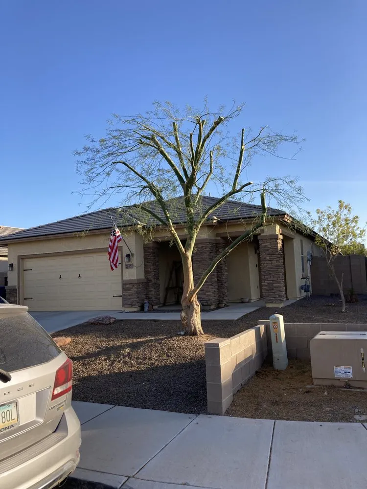 Expert garden landscaping in Yuma, AZ - Eduardo & Sons Tree Experts