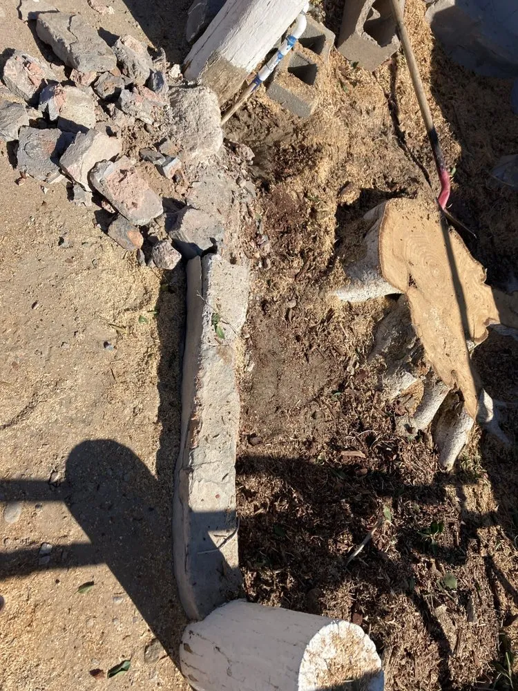 Reliable residential landscaping for homes in Yuma, AZ by Eduardo & Sons Tree Experts