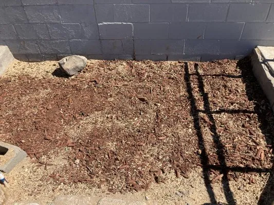 Eduardo & Sons Tree Experts Logo