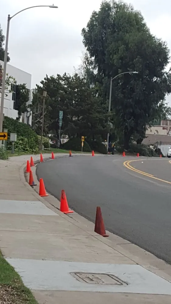 Local lawn care service in Escondido, CA - Eduardo and Andres Tree Service