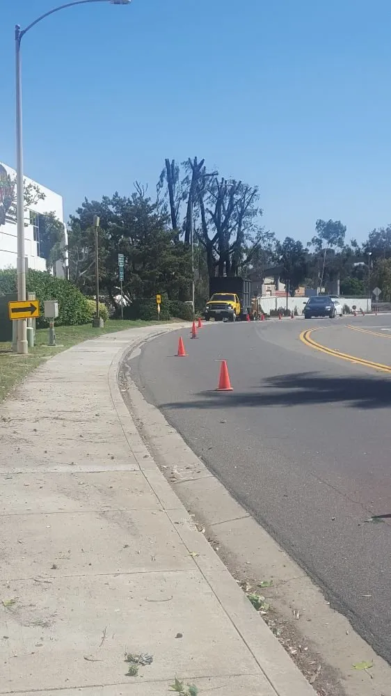 Trusted landscape design in Escondido, CA by Eduardo and Andres Tree Service