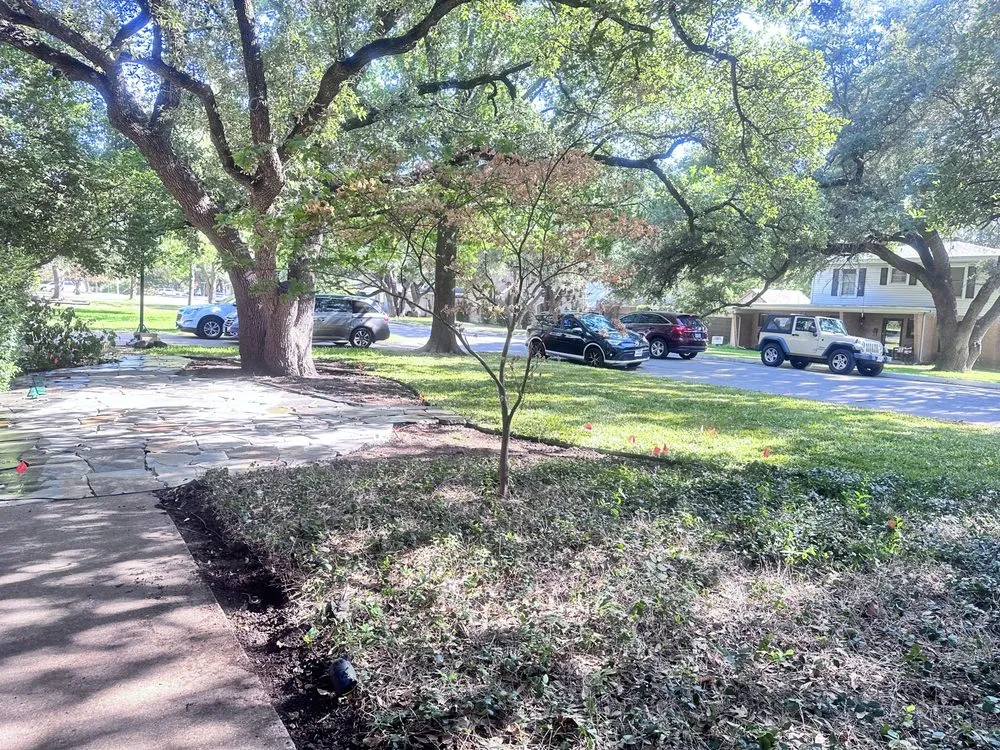 Expert landscape design in Fort Worth, TX - Eduardo G Landscape