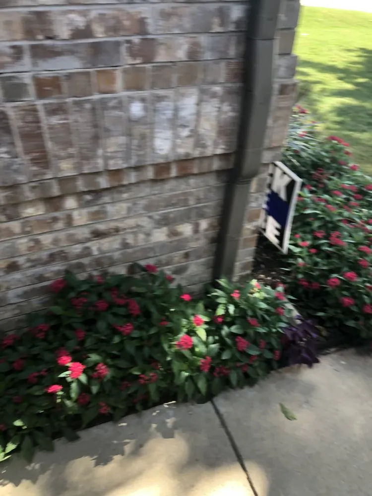 Expert landscaping services in Fort Worth, TX - Eduardo G Landscape