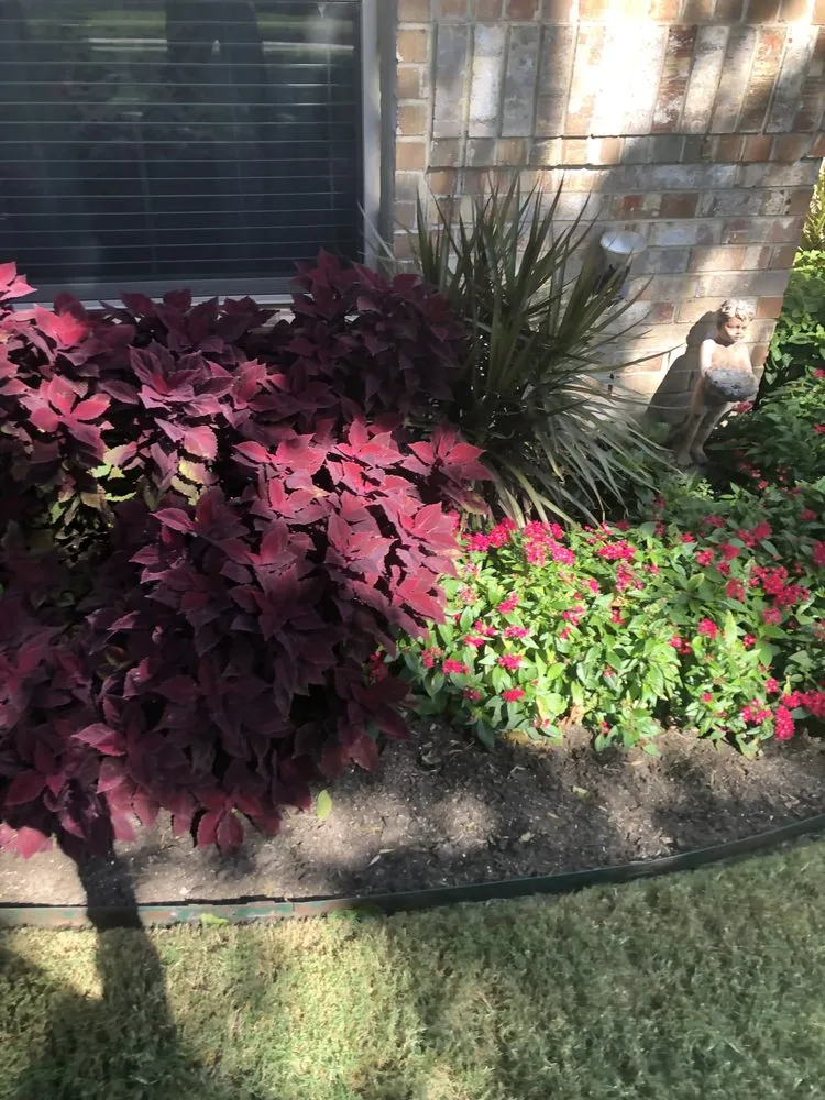 Custom landscaping services in Fort Worth, TX by Eduardo G Landscape