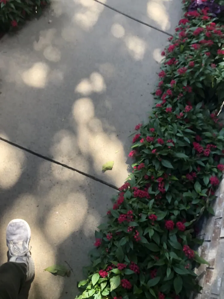 Affordable lawn care service in Fort Worth, TX by Eduardo G Landscape