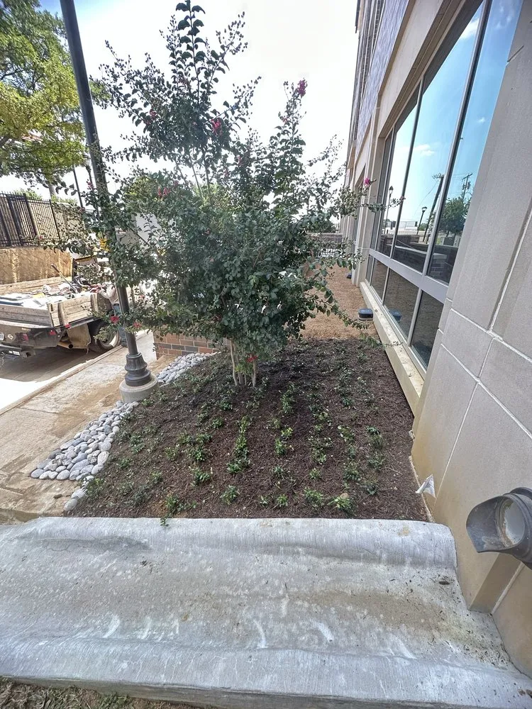 Professional lawn mowing service in Fort Worth, TX - Eduardo G Landscape