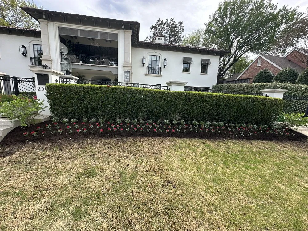 Reliable yard maintenance experts serving Fort Worth, TX - Eduardo G Landscape