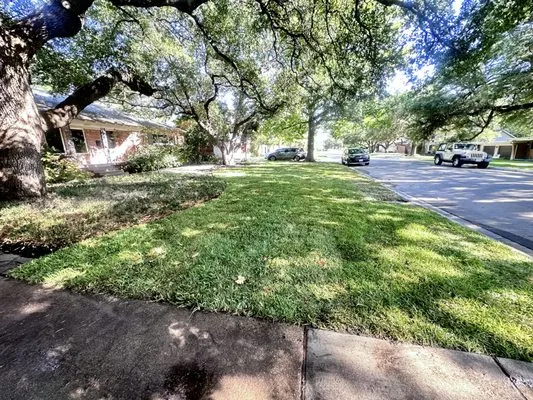 Eduardo G Landscape Logo