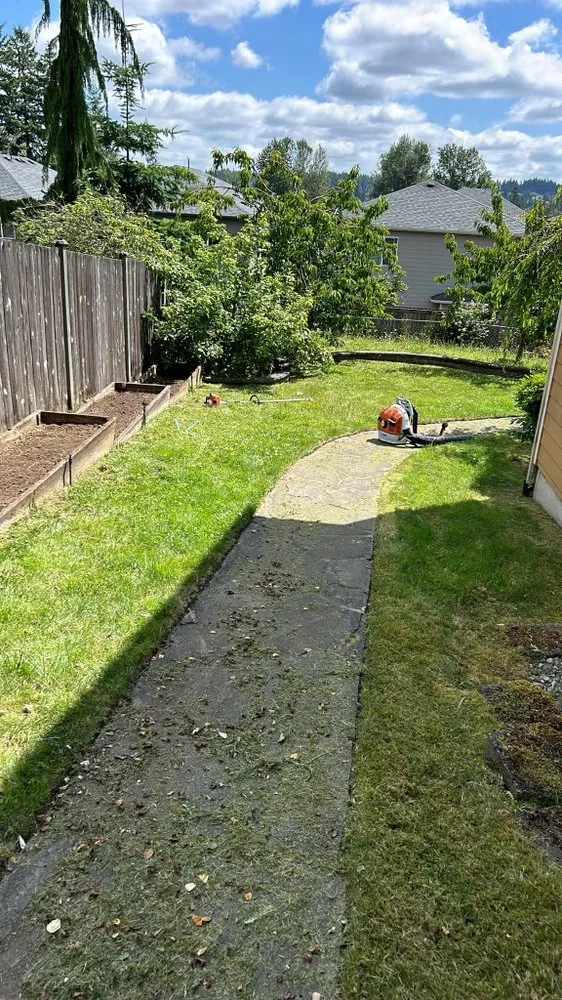 Trusted yard cleanup service in Everett, WA by Eduardo Gf Services