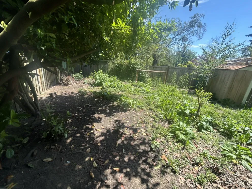 Professional residential landscaping in Everett, WA by Eduardo Gf Services