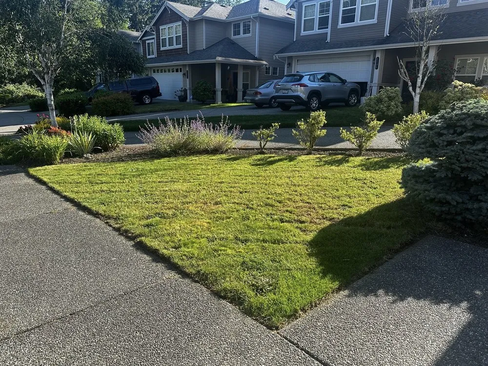 Professional yard cleanup service in Everett, WA by Eduardo Gf Services