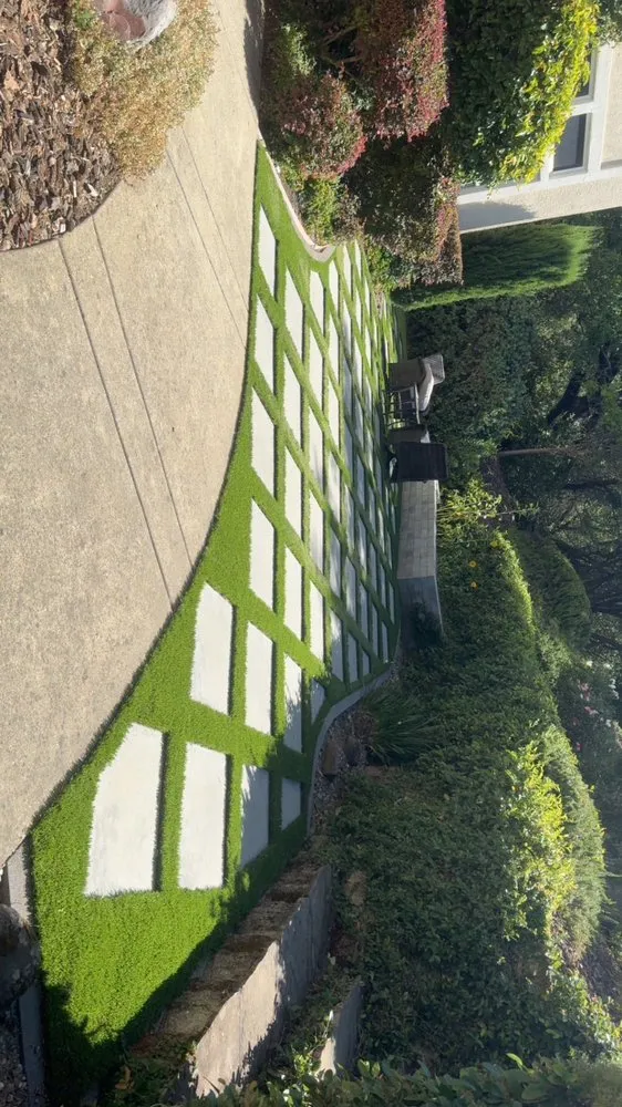 Professional outdoor landscaping experts serving Cameron Park, CA - Eduardo Landscape