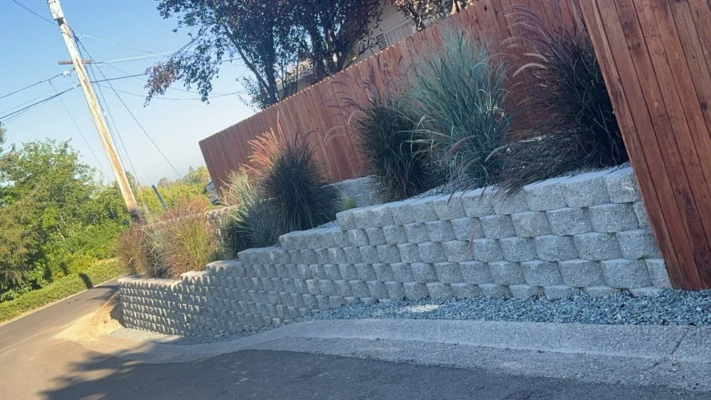 Trusted lawn mowing service in Cameron Park, CA - Eduardo Landscape