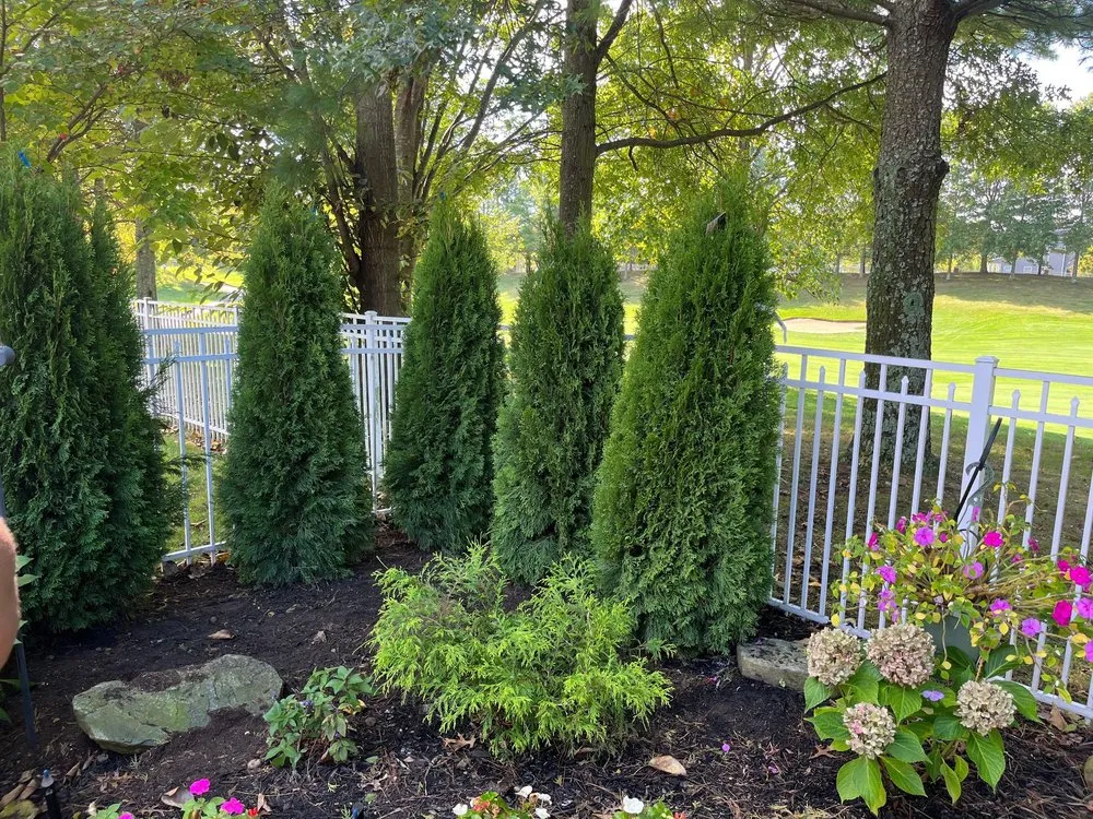 Affordable garden landscaping in Port Jefferson Station, NY - Eduardo Molina Services