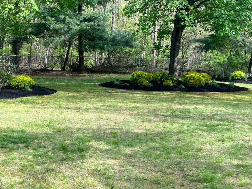 Affordable yard cleanup service in Port Jefferson Station, NY - Eduardo Molina Services