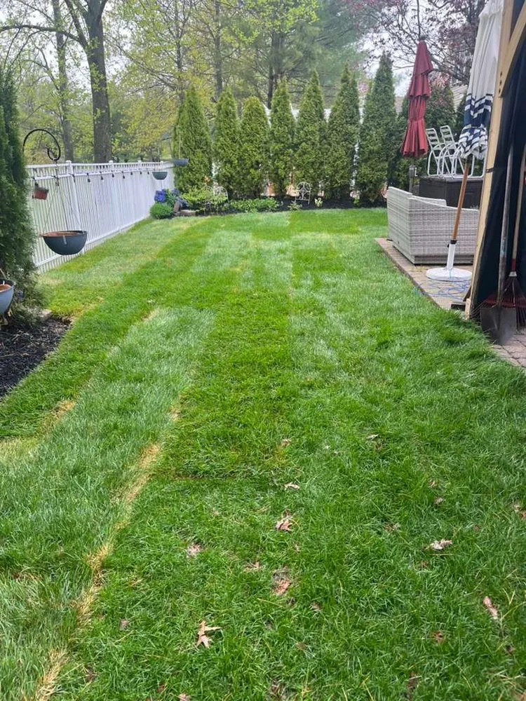 Expert landscape installation for residential properties across Port Jefferson Station, NY - Eduardo Molina Services