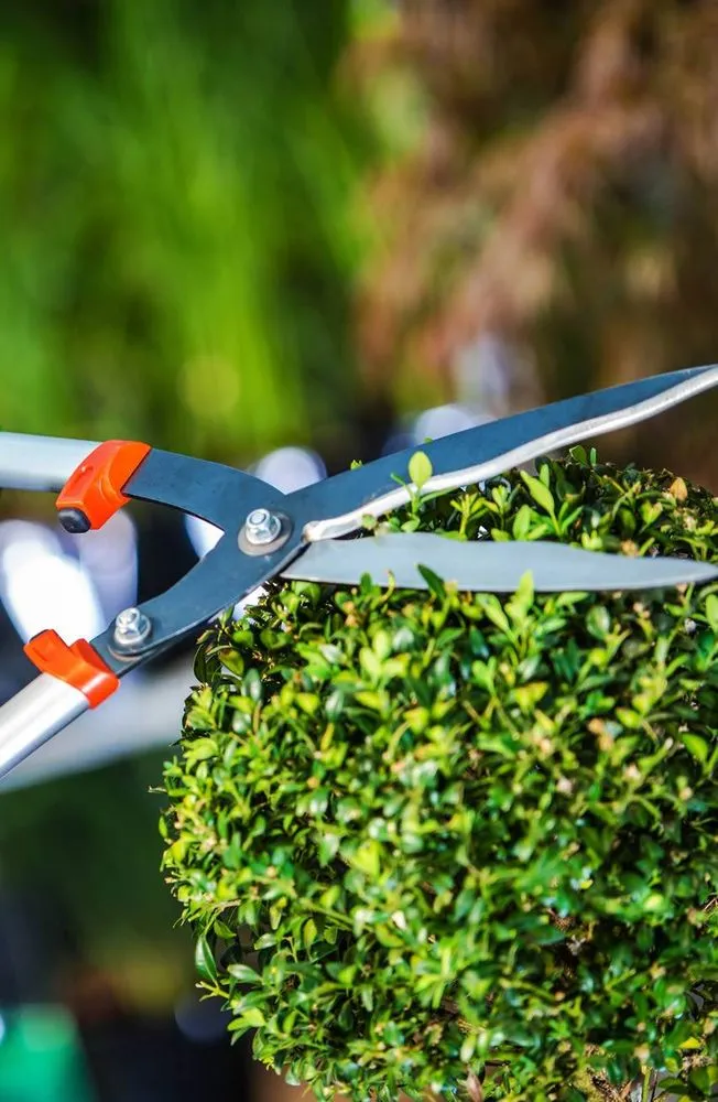 Trusted garden landscaping in South San Francisco, CA by Eduardo Mora's Landscaping