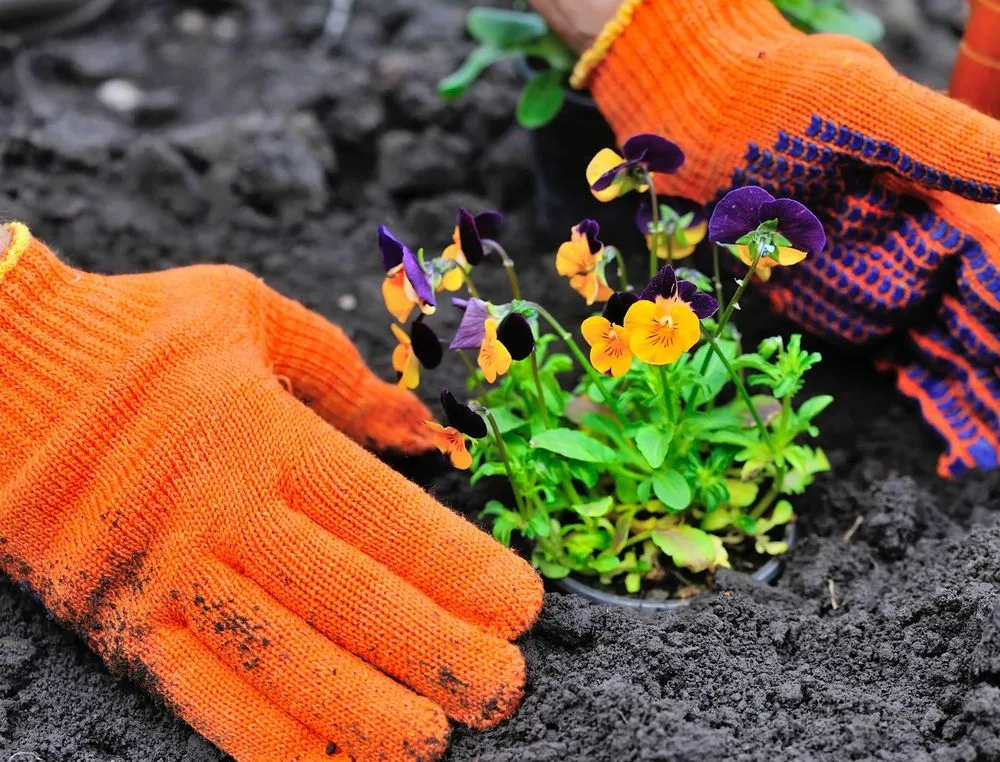 Local landscape installation in South San Francisco, CA by Eduardo Mora's Landscaping