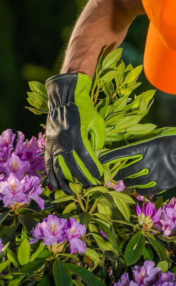 Reliable yard cleanup service experts serving South San Francisco, CA - Eduardo Mora's Landscaping