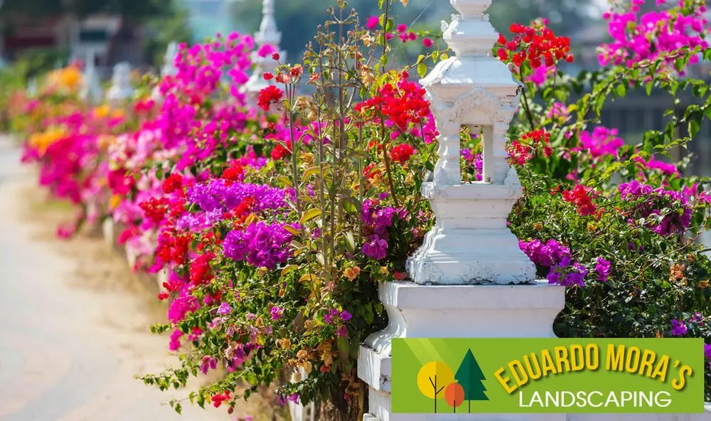 Expert yard cleanup service experts serving South San Francisco, CA - Eduardo Mora's Landscaping