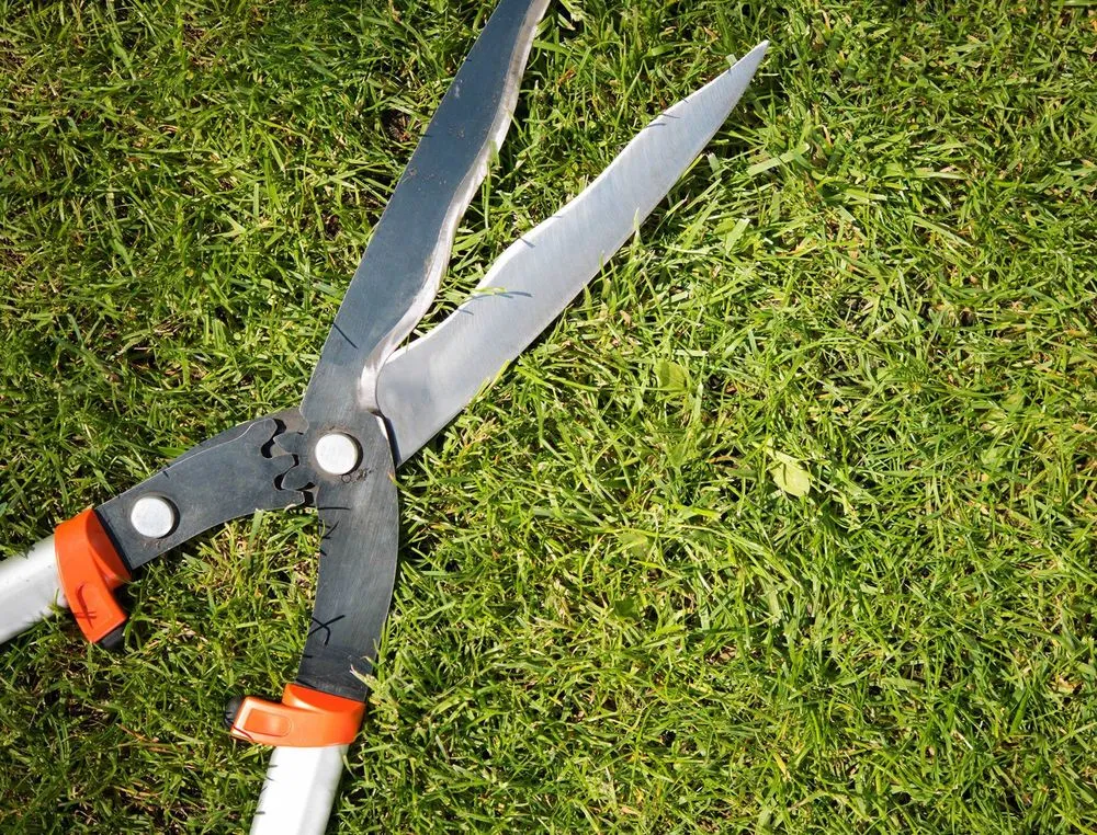 Top-rated yard maintenance with custom design in South San Francisco, CA by Eduardo Mora's Landscaping