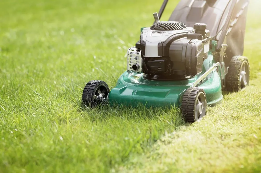 Affordable yard maintenance near you in South San Francisco, CA by Eduardo Mora's Landscaping