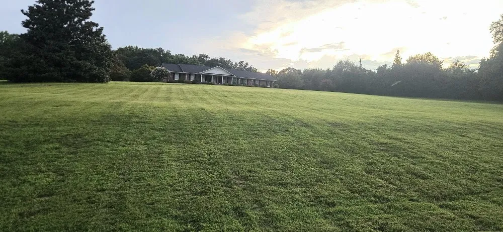 Custom yard maintenance in Greer, SC - Eduardo Y Mayra