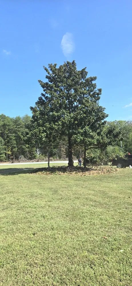 Reliable garden landscaping with custom design across Greer, SC - Eduardo Y Mayra