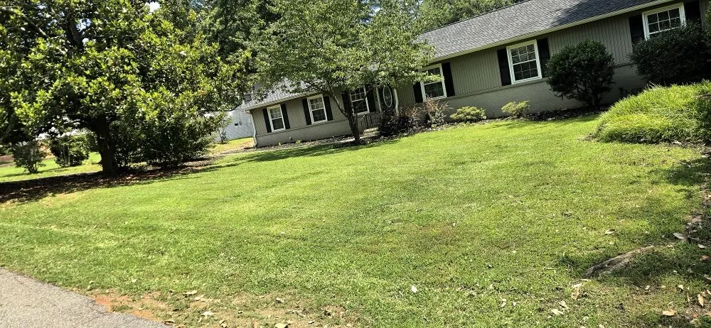 Reliable yard cleanup service with custom design across Greer, SC - Eduardo Y Mayra