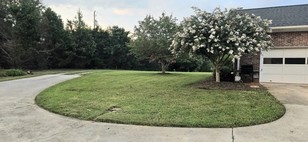 Reliable outdoor landscaping with custom design across Greer, SC - Eduardo Y Mayra