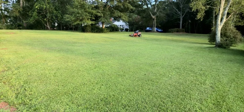 Expert landscape installation near you in Greer, SC by Eduardo Y Mayra