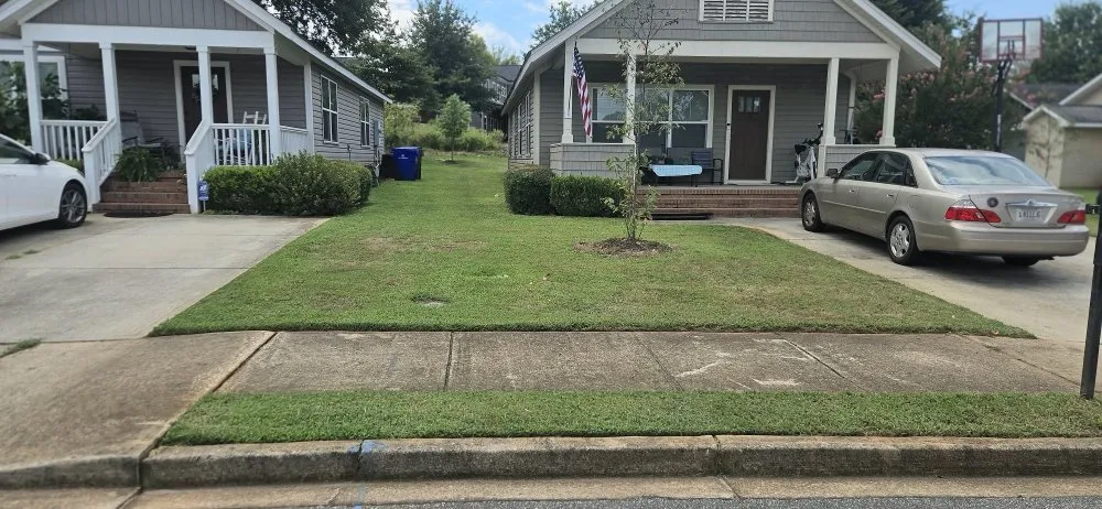 Local yard cleanup service for homes across Greer, SC - Eduardo Y Mayra